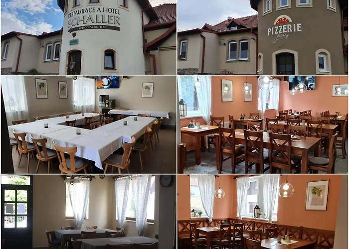 & Restaurace Pizzerie Jasany 3* Novy Saldorf